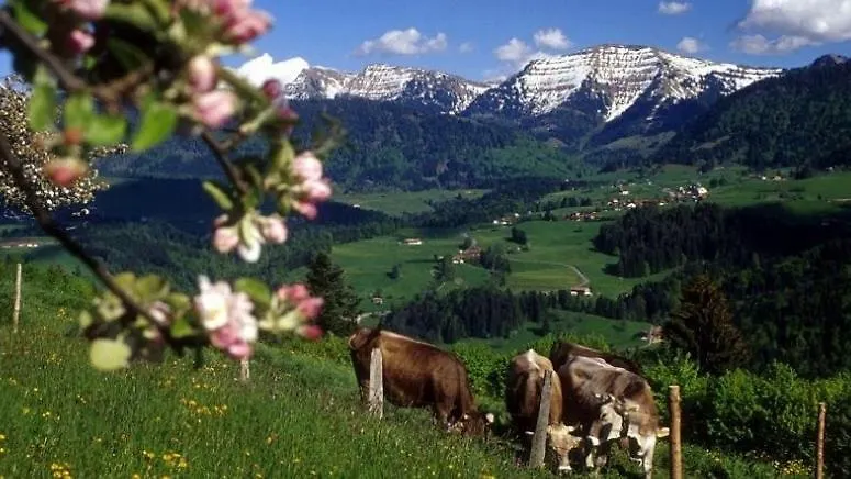 Fewo Alpenbrise, Oberstaufen Germany